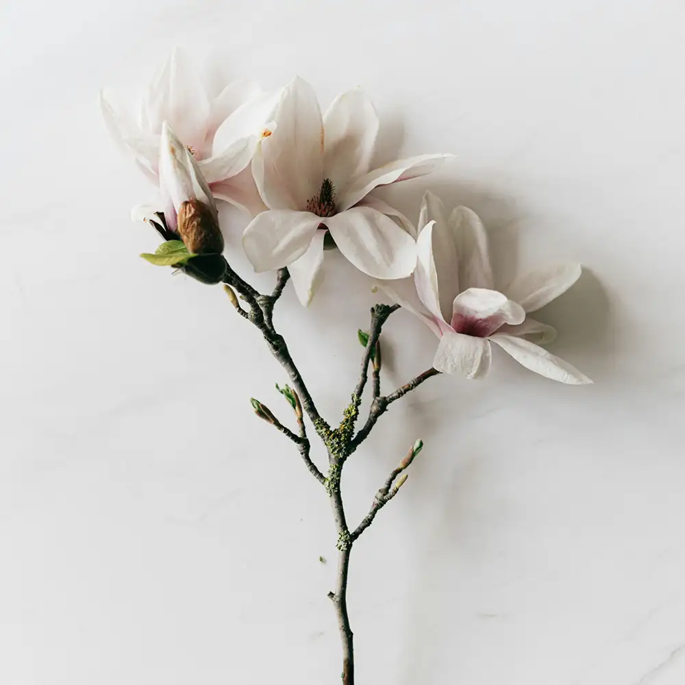 21 diner thema black & gold