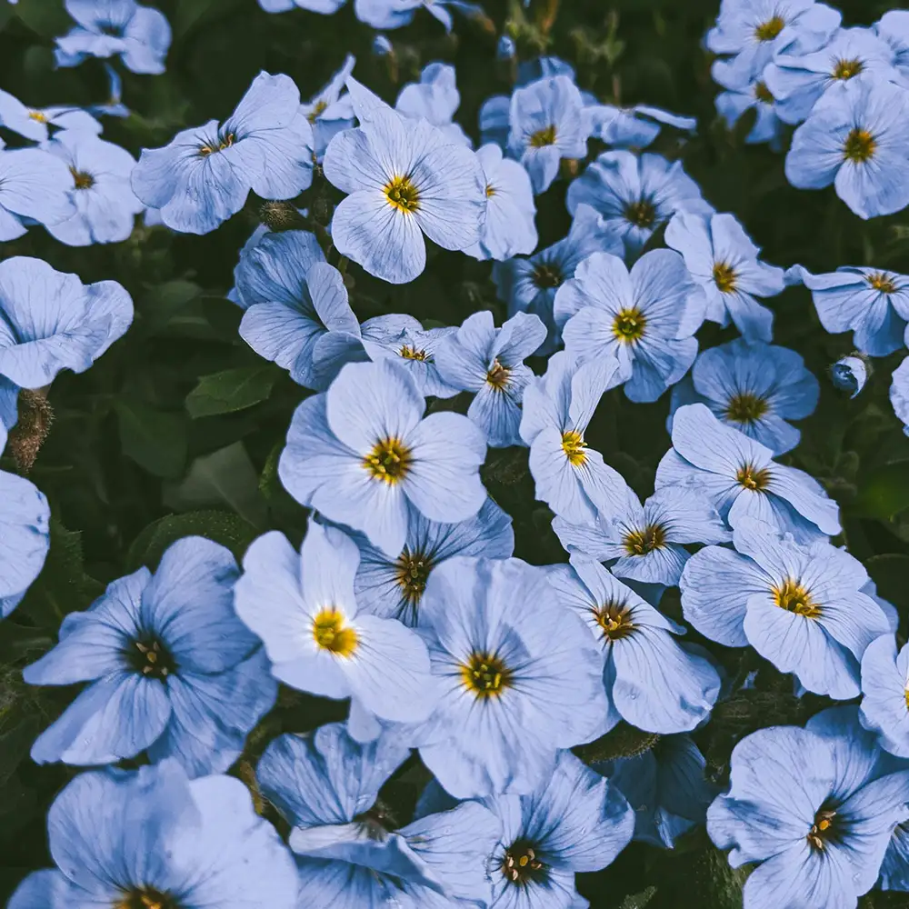 21 diner thema denim